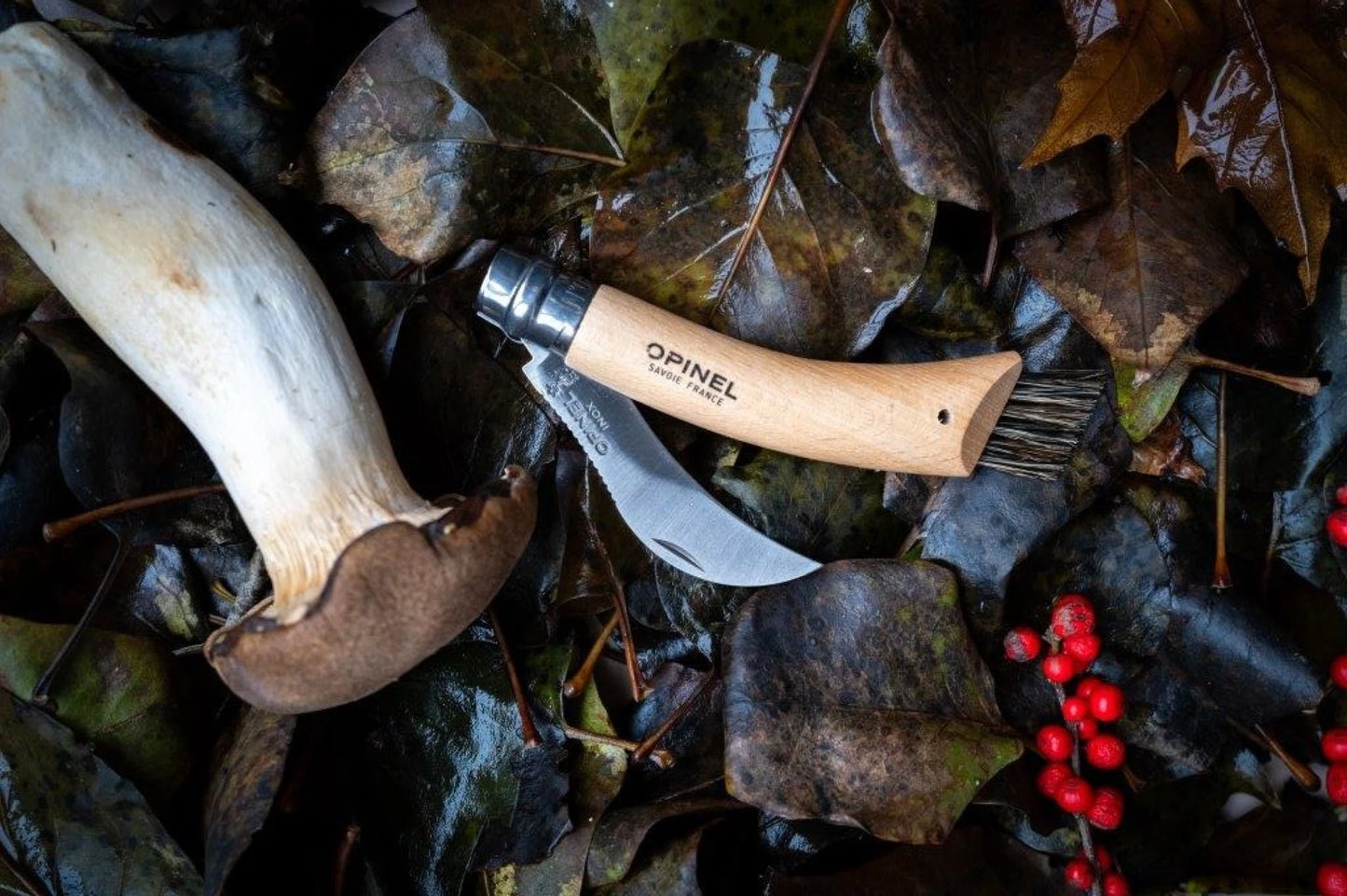 Opinel No.08 Mushroom Knife - Oak Wood Handle with Sheath 001327