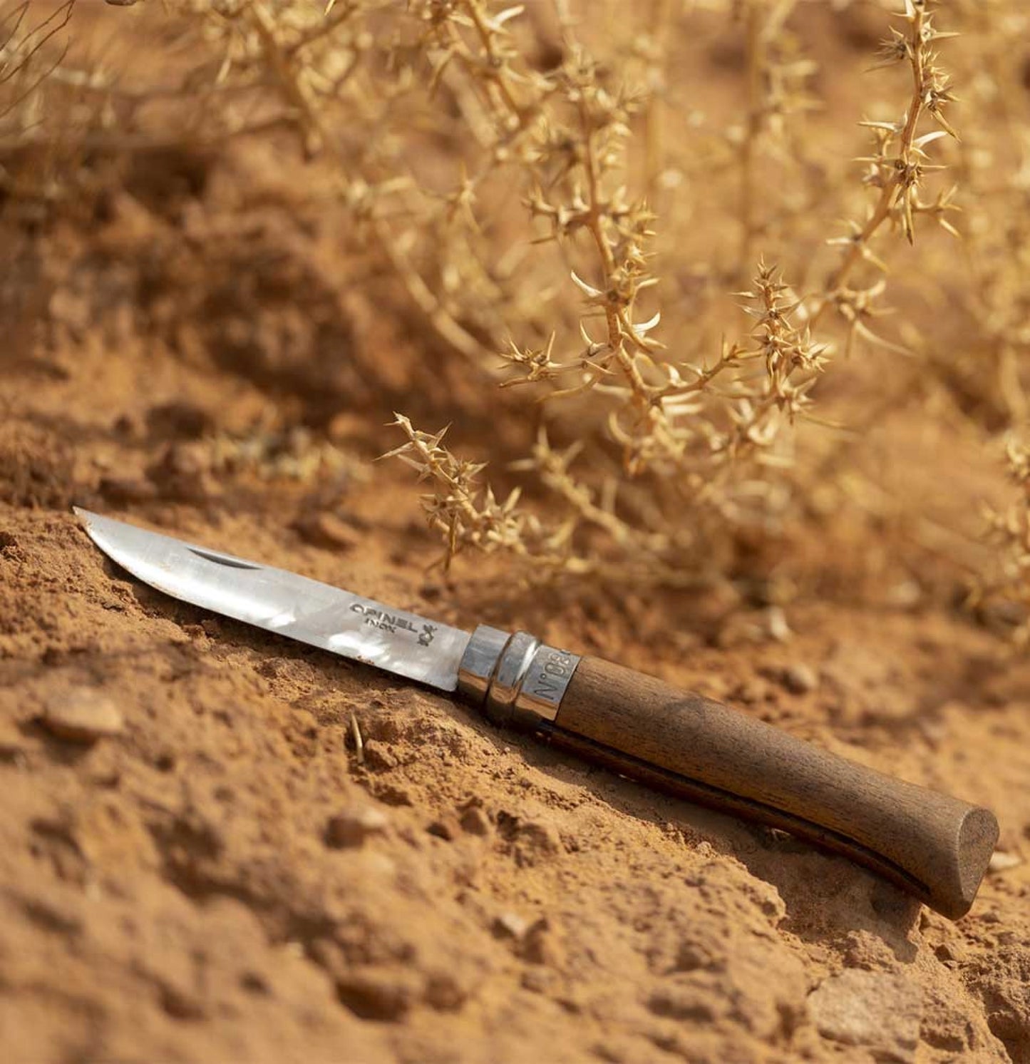 Opinel No.08 Walnut Tree Stainless Steel Folding Knife 002022
