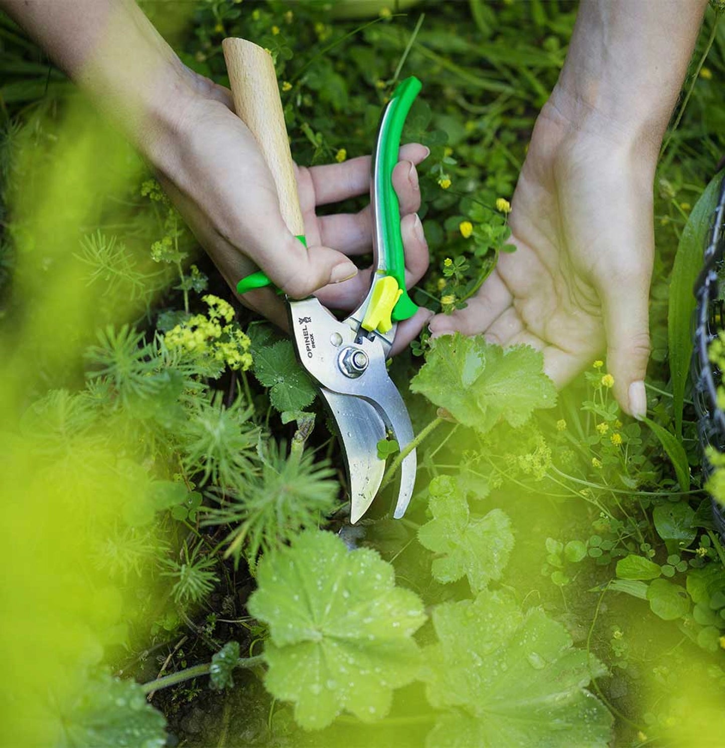 Opinel Hand Pruner Meadow Stainless Steel Blade Green 001628
