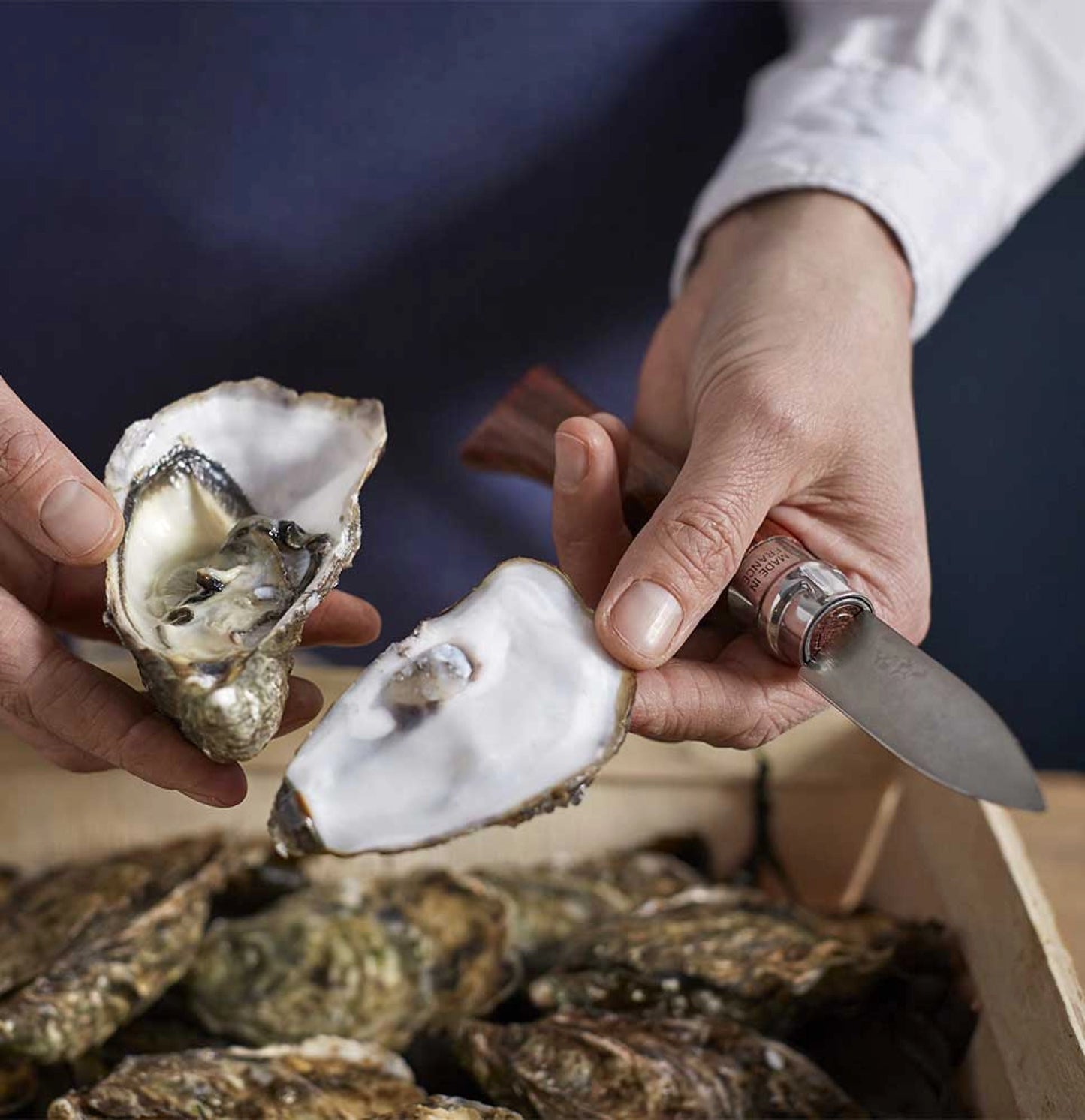 Opinel No.09 Oyster Stainless Steel Folding Knife 001616