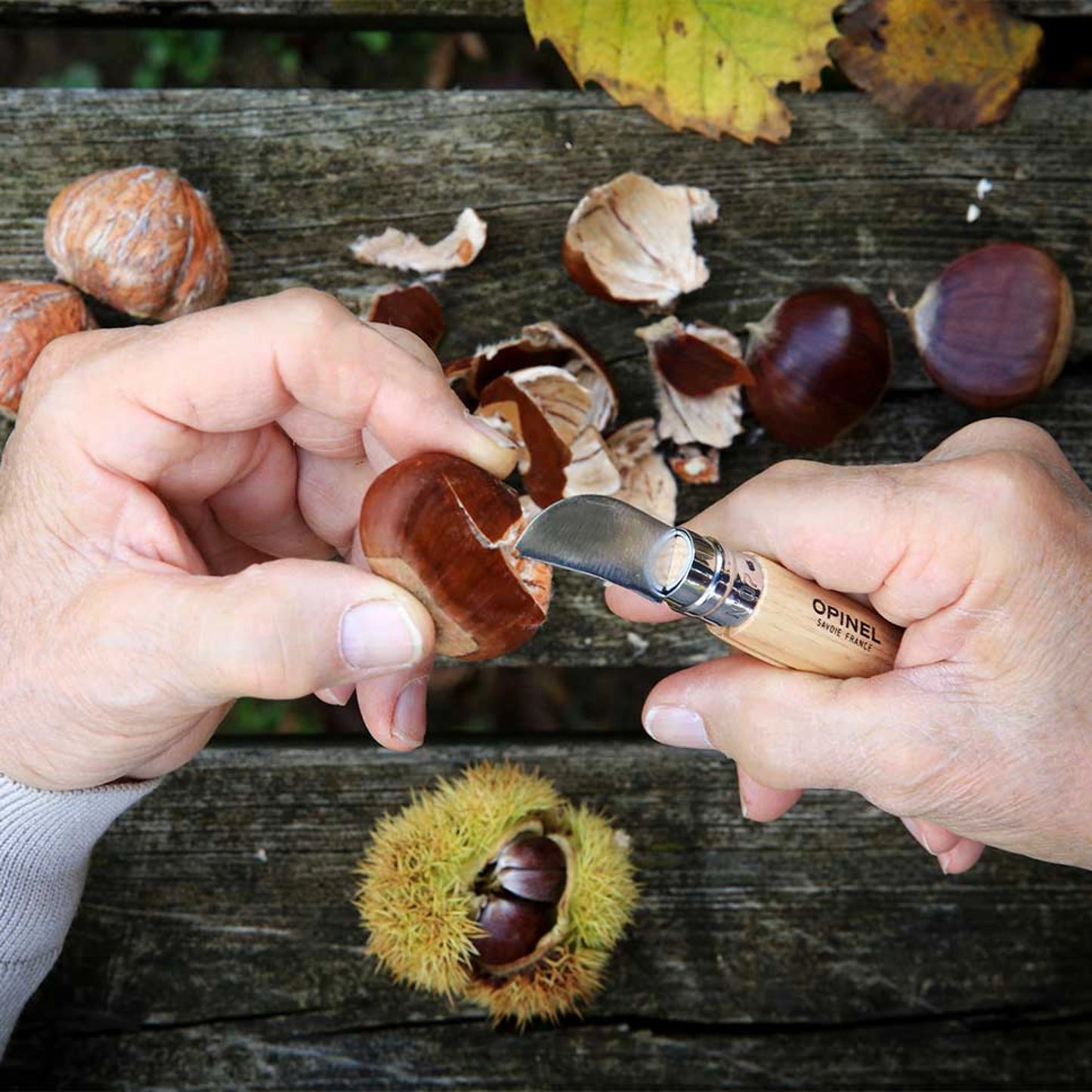 Opinel No.07 Folding Chestnuts, garlic and pitting Stainless Steel Knife 002360