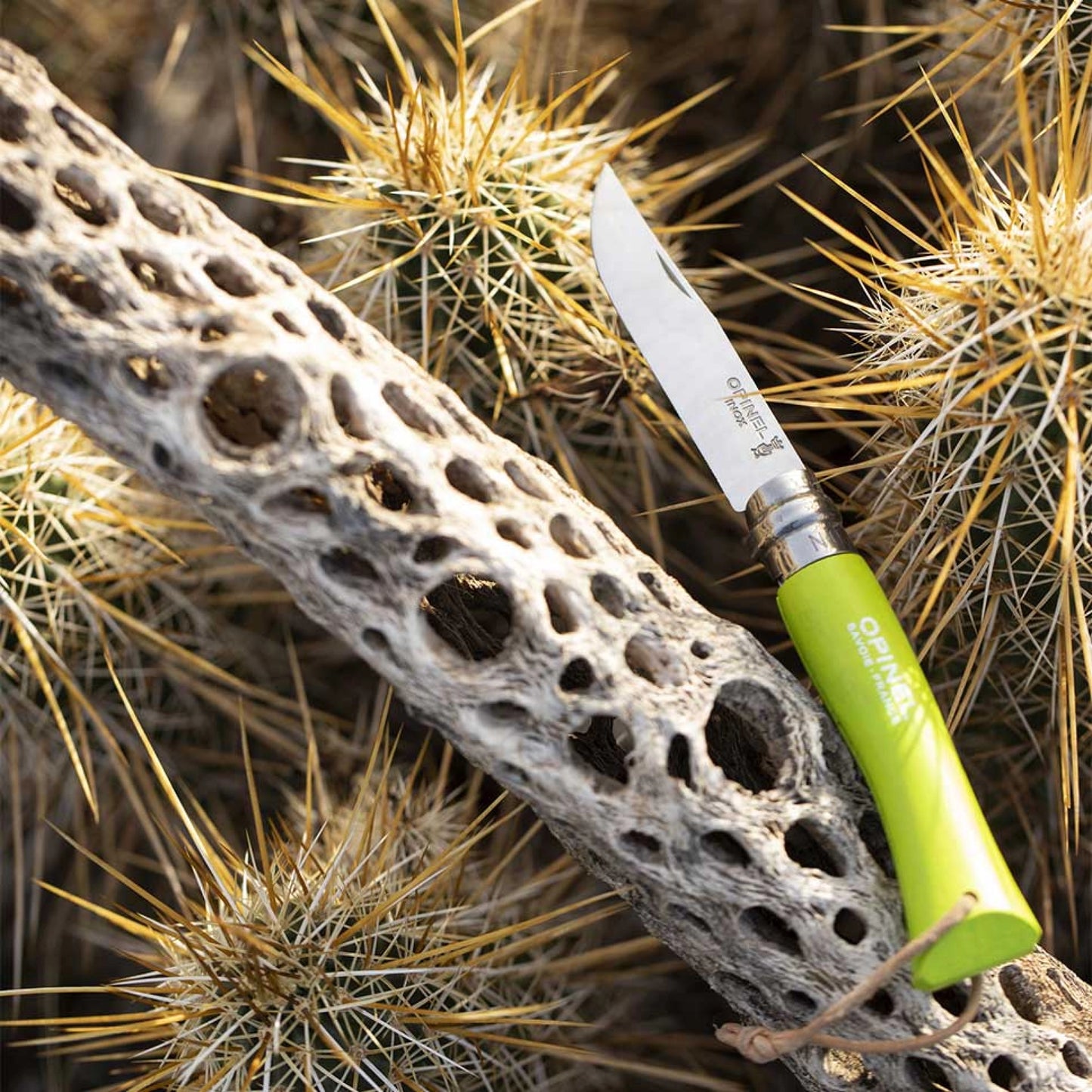 Opinel No.07 Bushwhacker Anise Stainless Steel Pocket Knife with Lanyard 002207