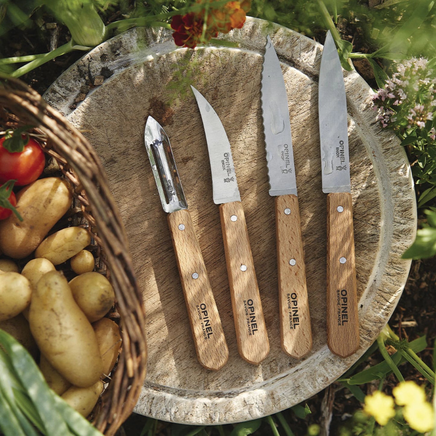 Opinel Essential 4 Small Kitchen Knives Box Set 001300