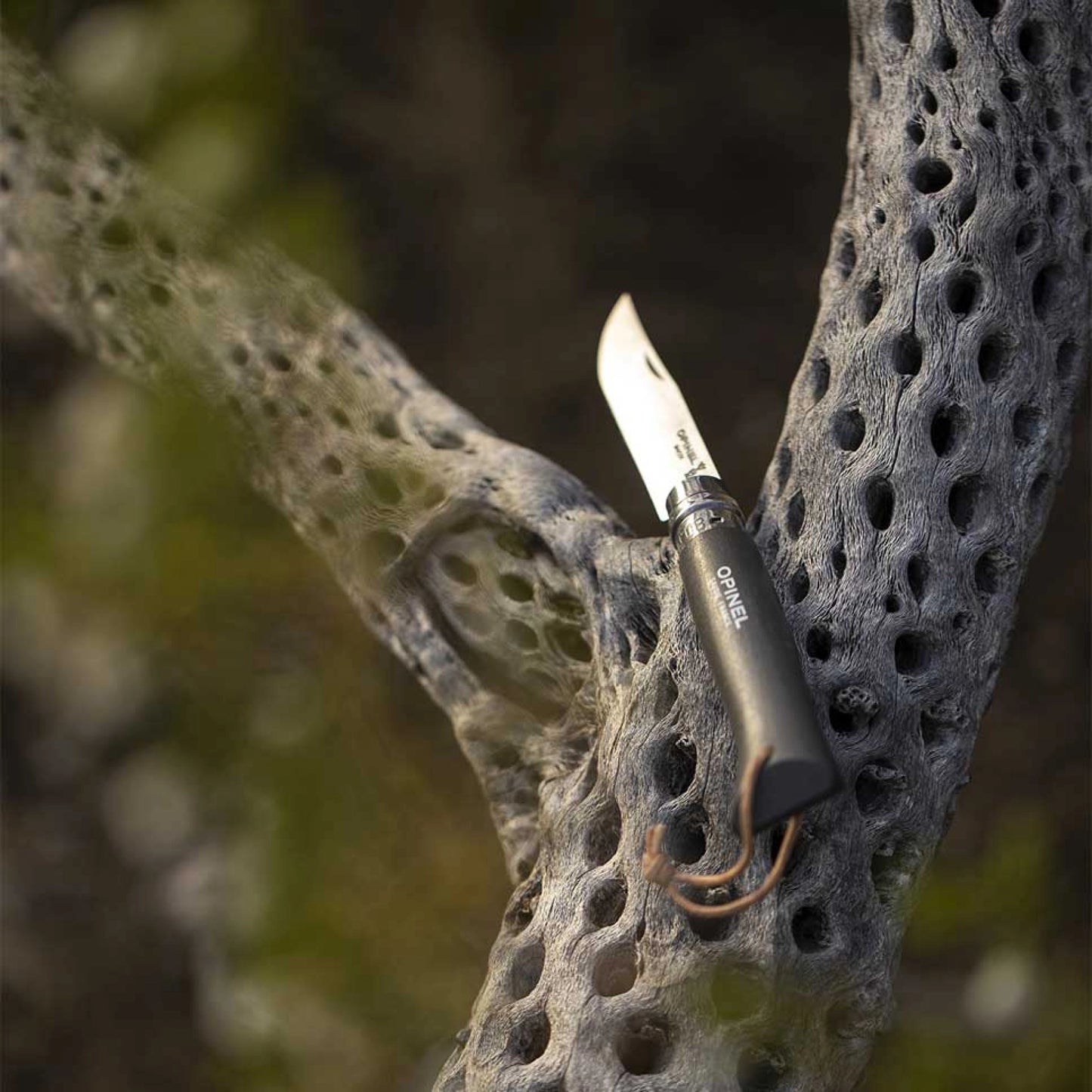 Opinel No.08 Bushwhacker Dark Brown Stainless Steel Folding Knife with Lanyard 002211