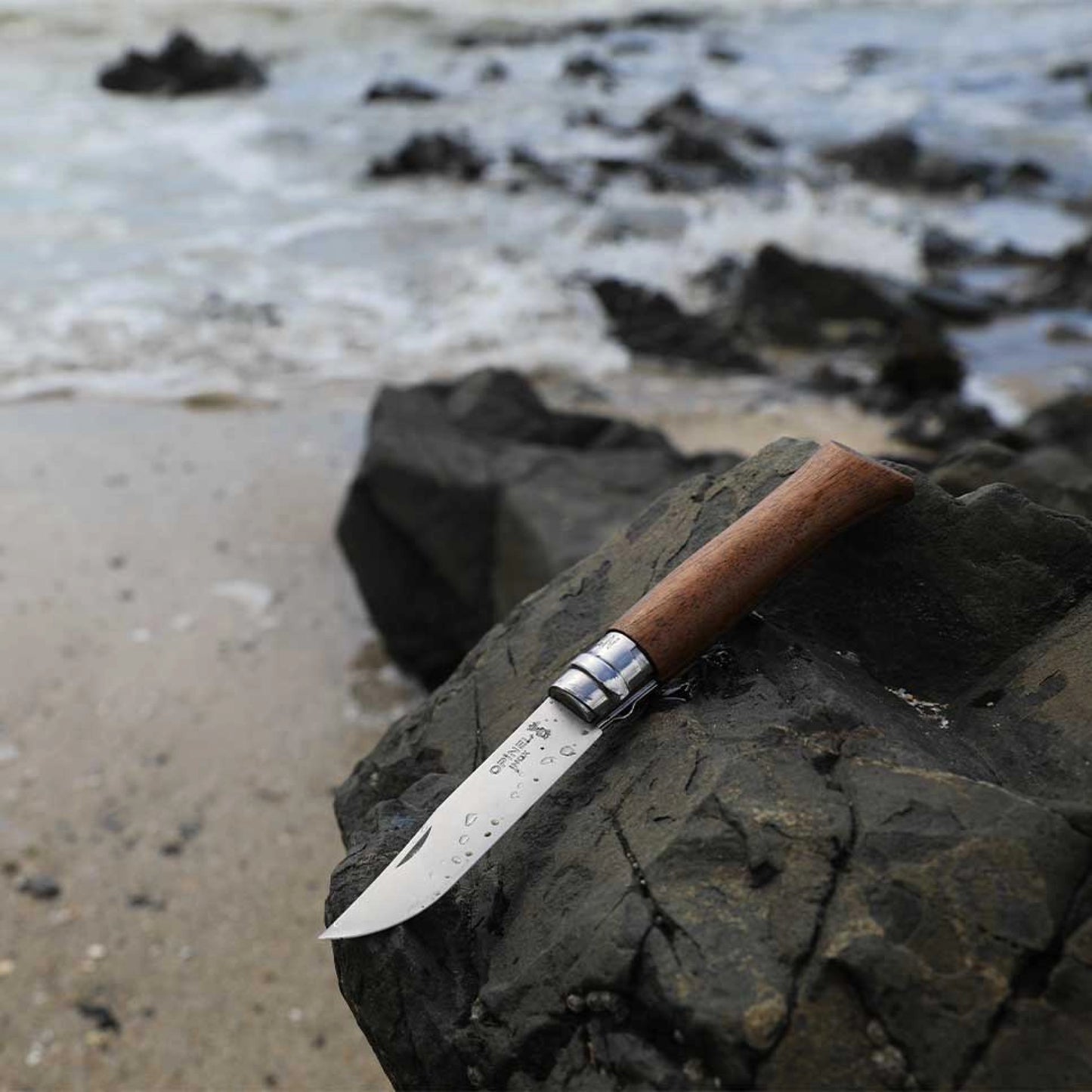 Opinel No.06 Walnut Tree Stainless Steel Folding Knife 002025