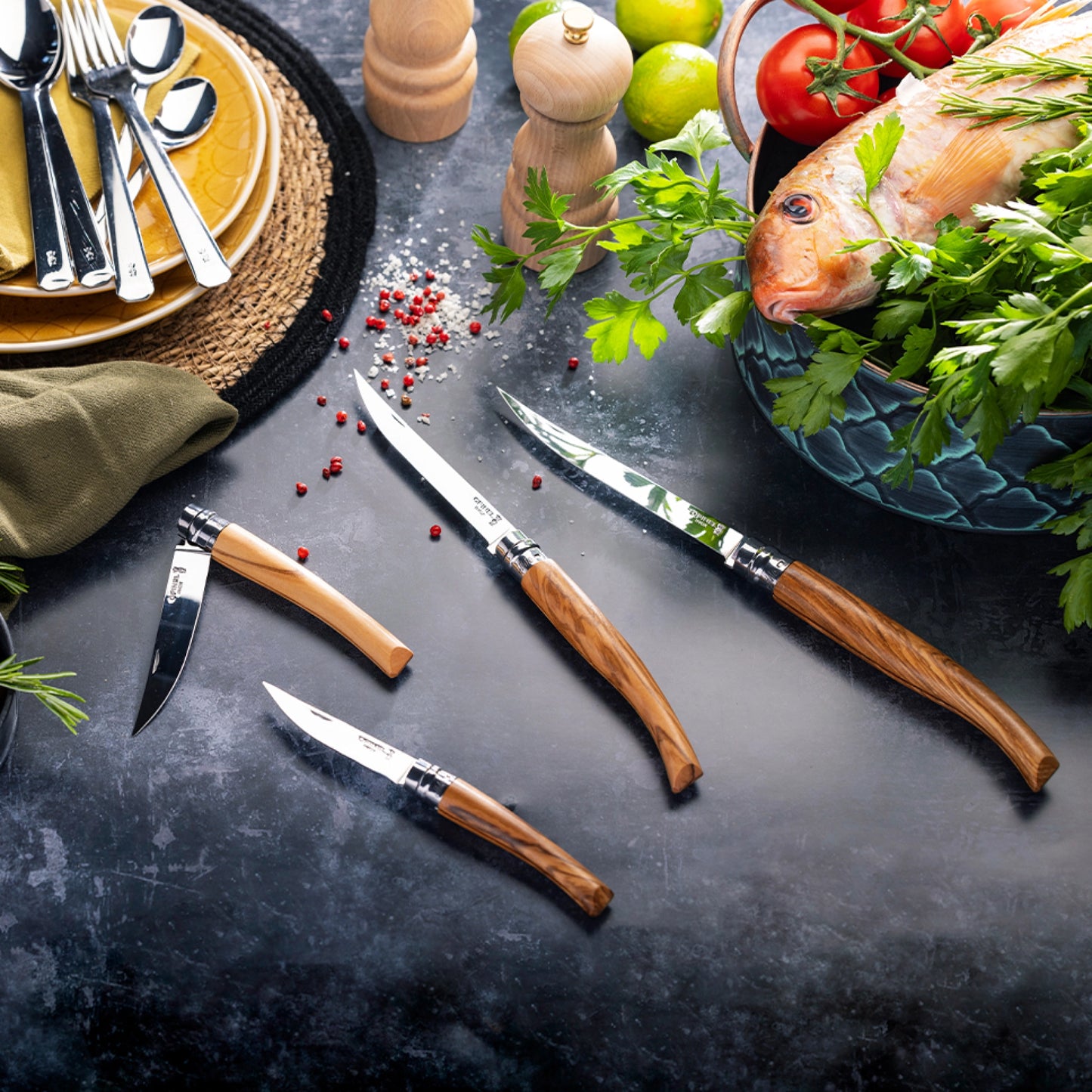 Opinel No.15 Olive Effilé - New version Stainless Steel Pocket Knive 002608