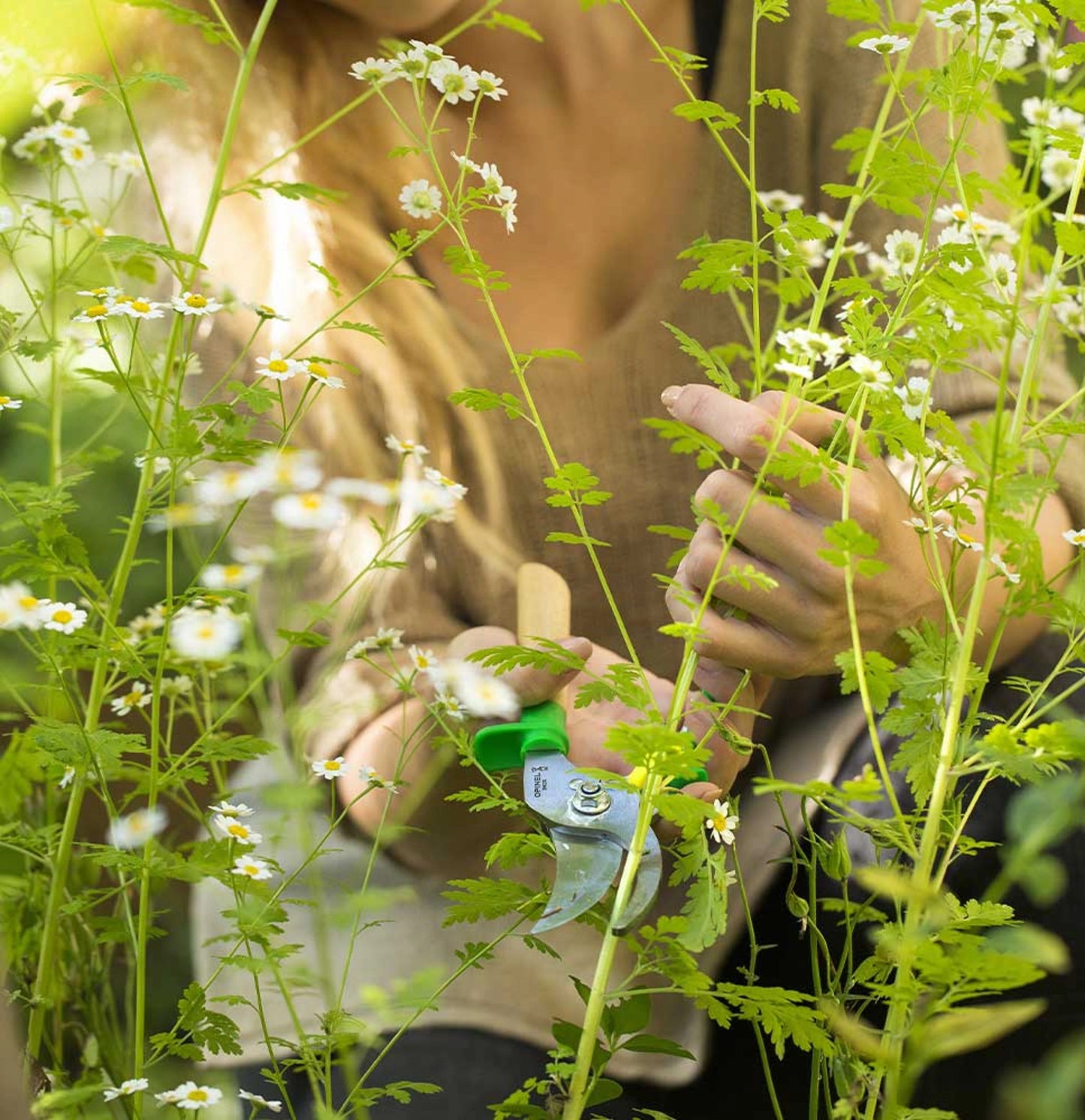 Opinel Hand Pruner Meadow Stainless Steel Blade Green 001628