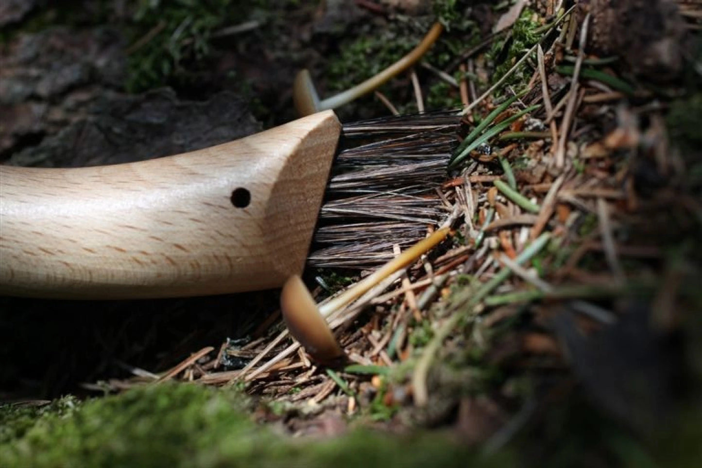 Opinel No.08 Mushroom Knife - Oak Wood Handle with Sheath 001327