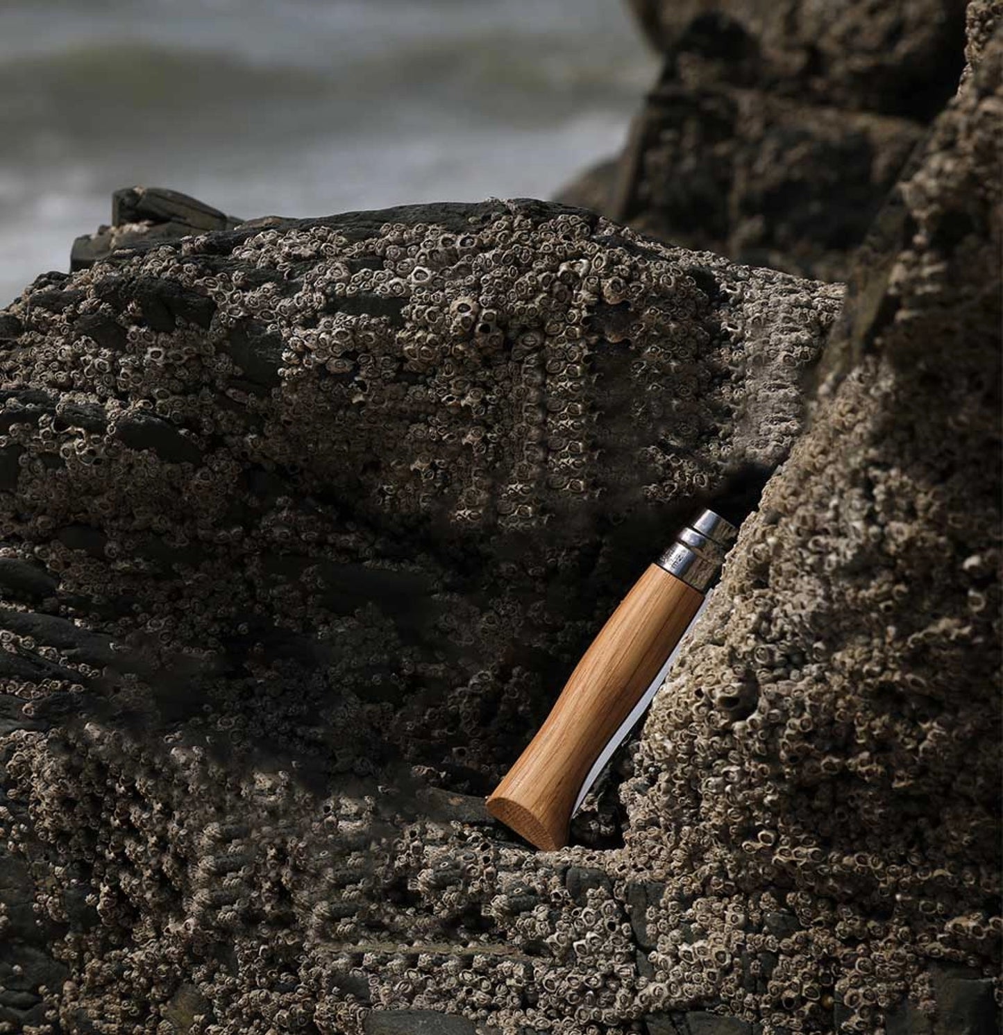 Opinel No.06 Oak Stainless Steel Folding Knife 002024