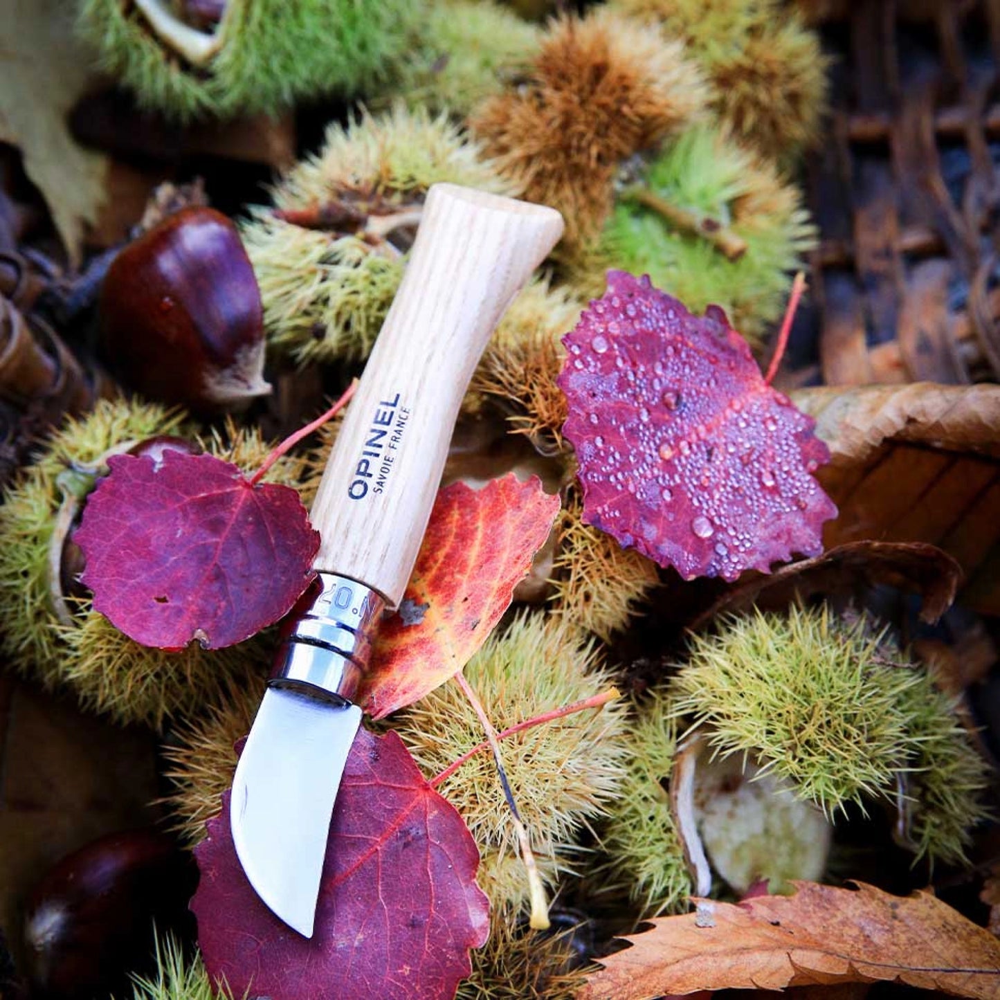 Opinel No.07 Folding Chestnuts, garlic and pitting Stainless Steel Knife 002360