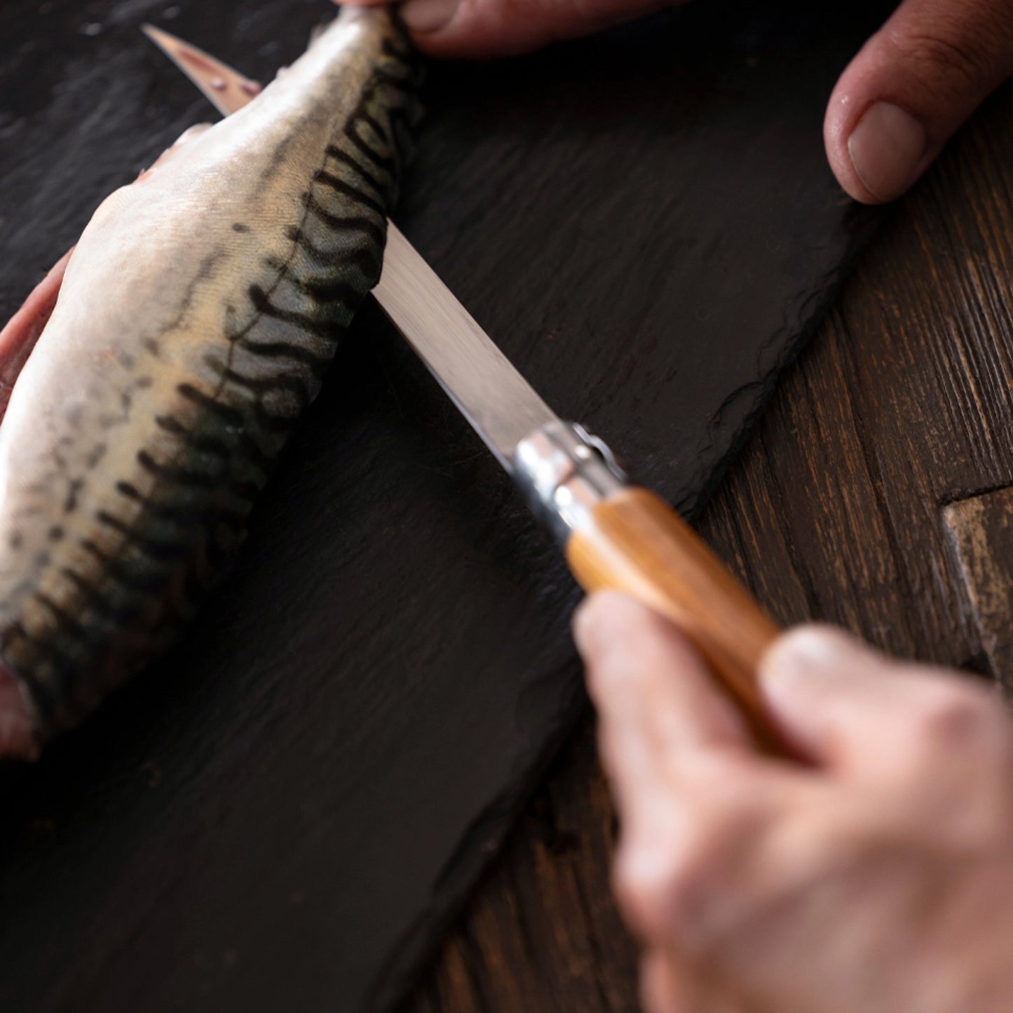 Opinel No.15 Olive Effilé - New version Stainless Steel Pocket Knive 002608