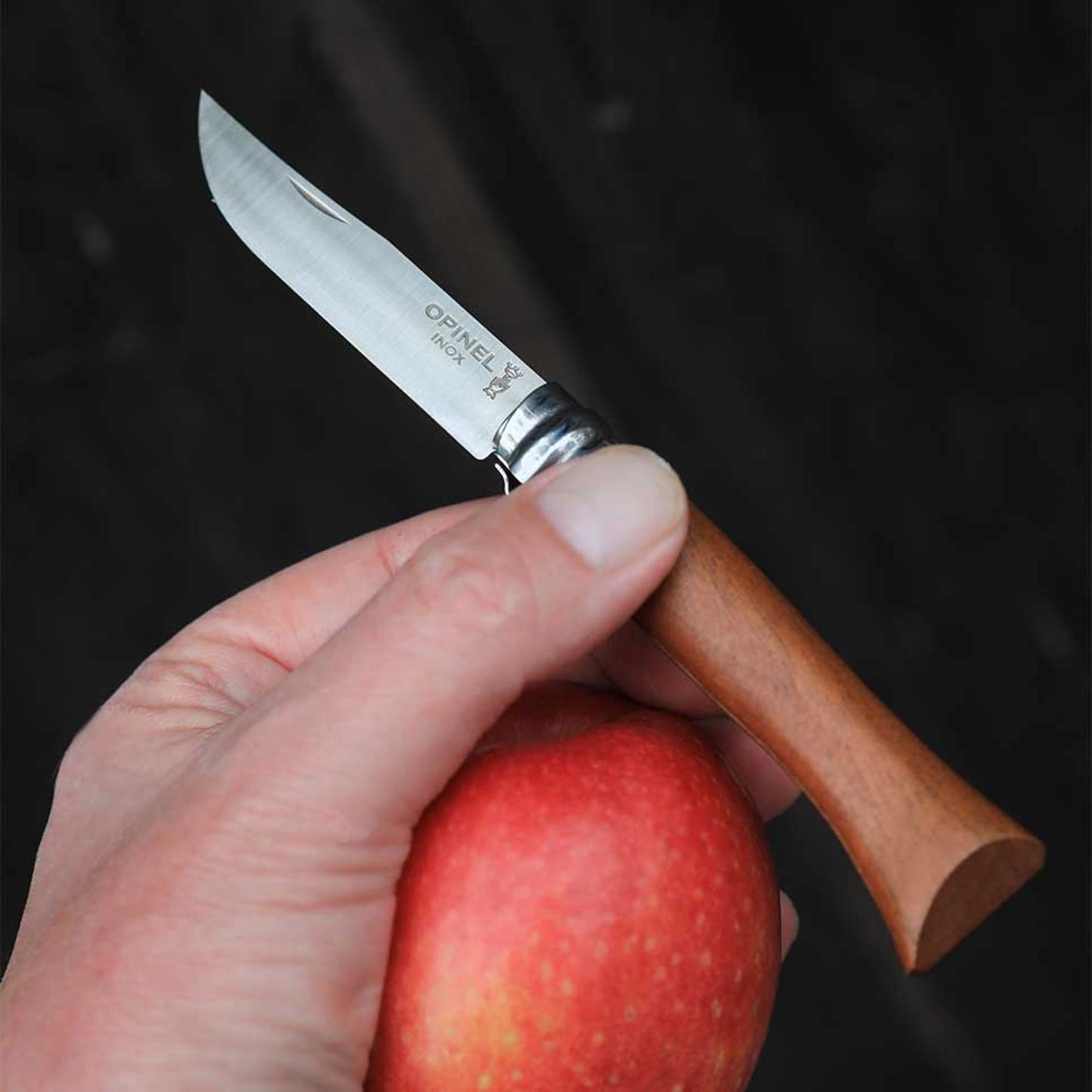 Opinel No.08 Walnut Tree Stainless Steel Folding Knife 002022