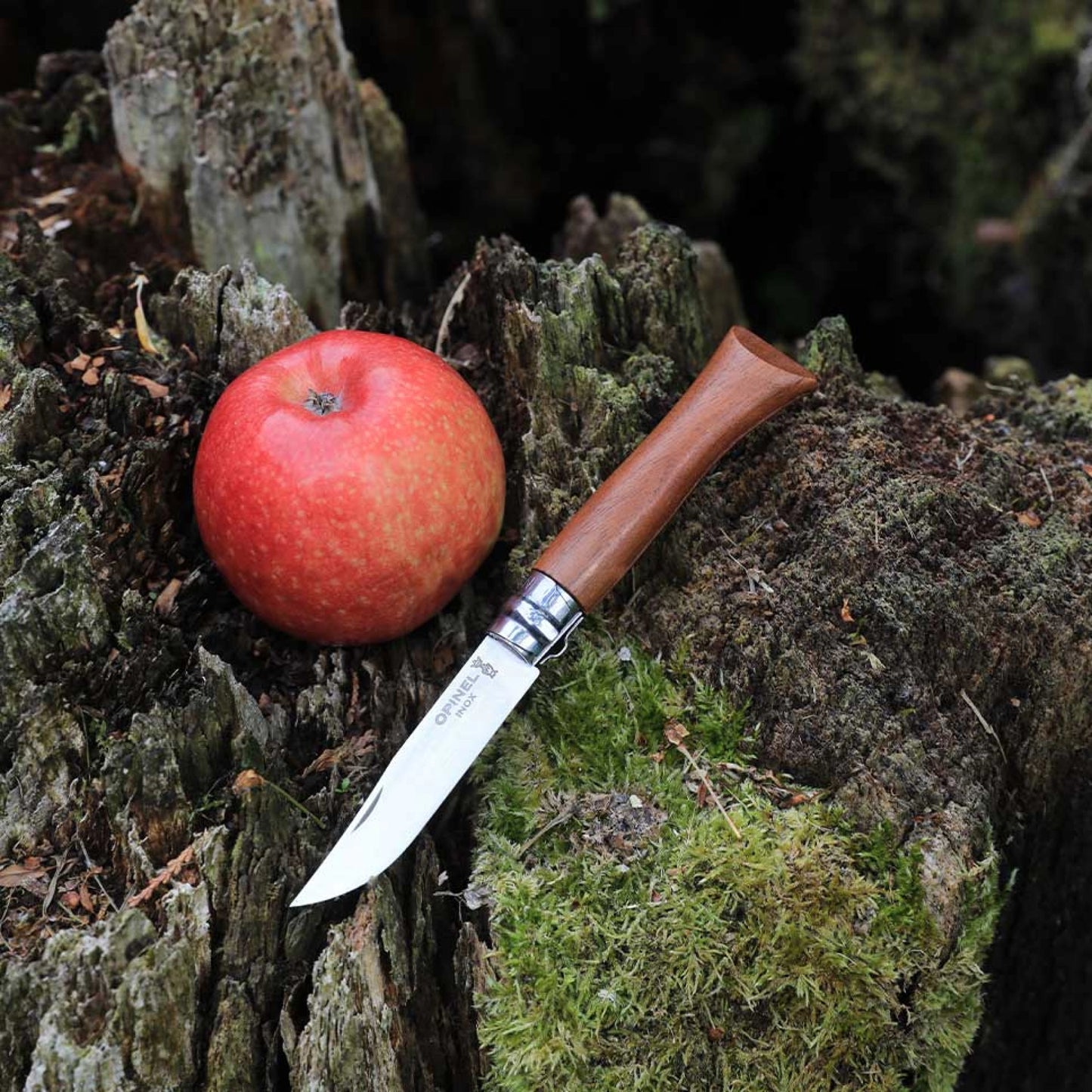 Opinel No.08 Walnut Tree Stainless Steel Folding Knife 002022