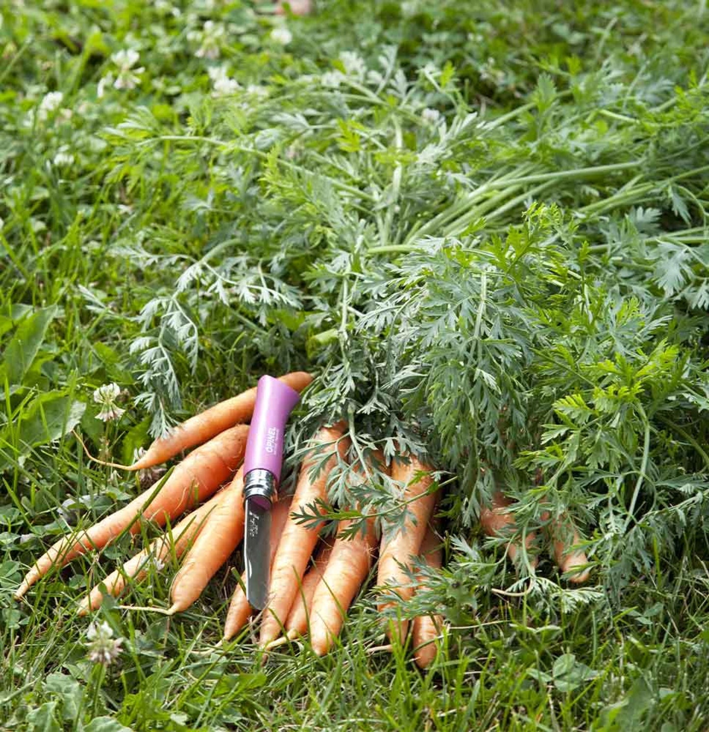 Opinel No.07 My First Opinel Fuchsia 001699