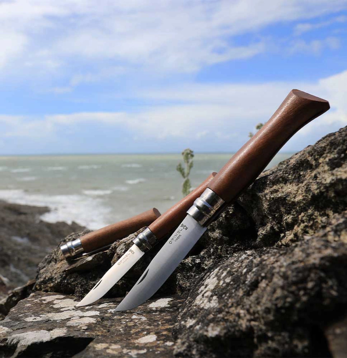 Opinel No.09 Walnut Wood Stainless Steel Folding Knife 002425