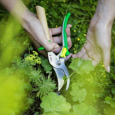 Opinel Hand Pruners Stainless Steel Blade Green 001628