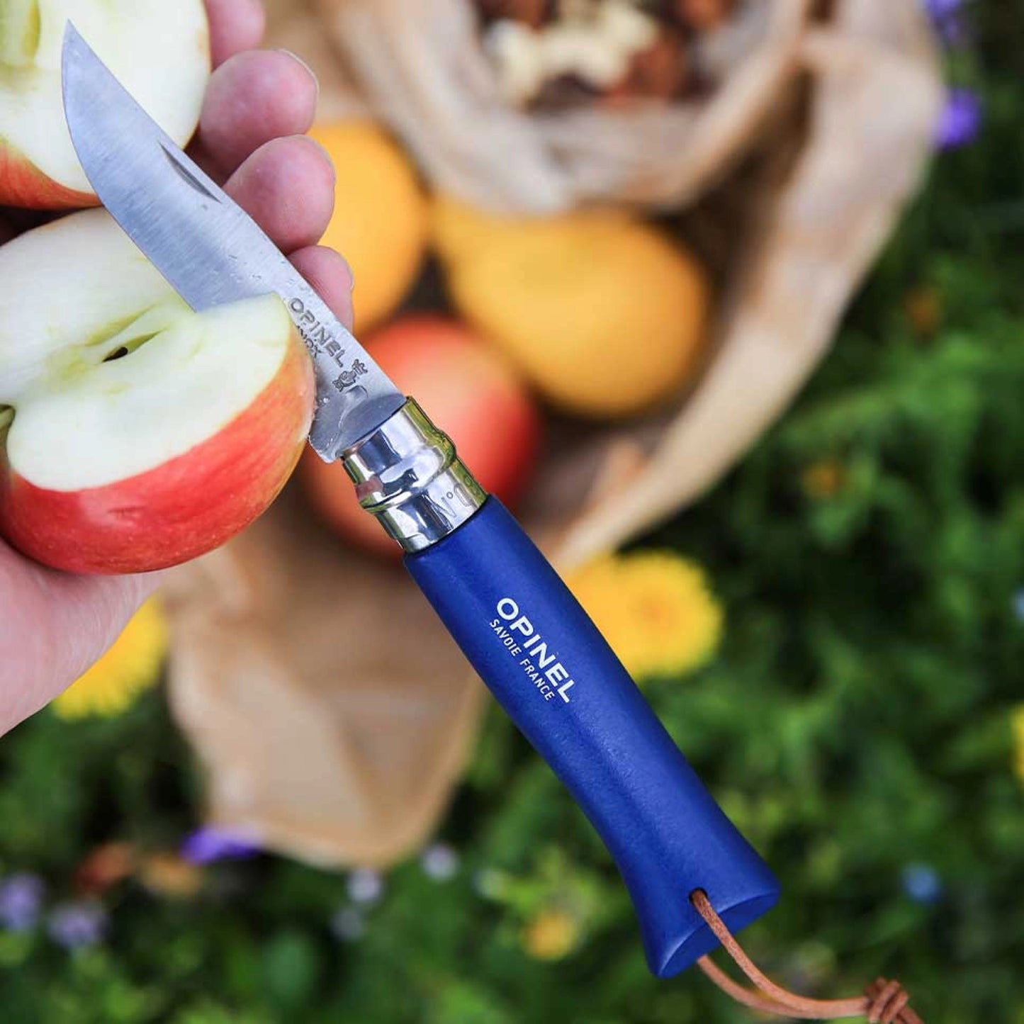 Opinel No.08 Bushwhacker Dark Blue Stainless Steel Folding Knife with Lanyard 002212