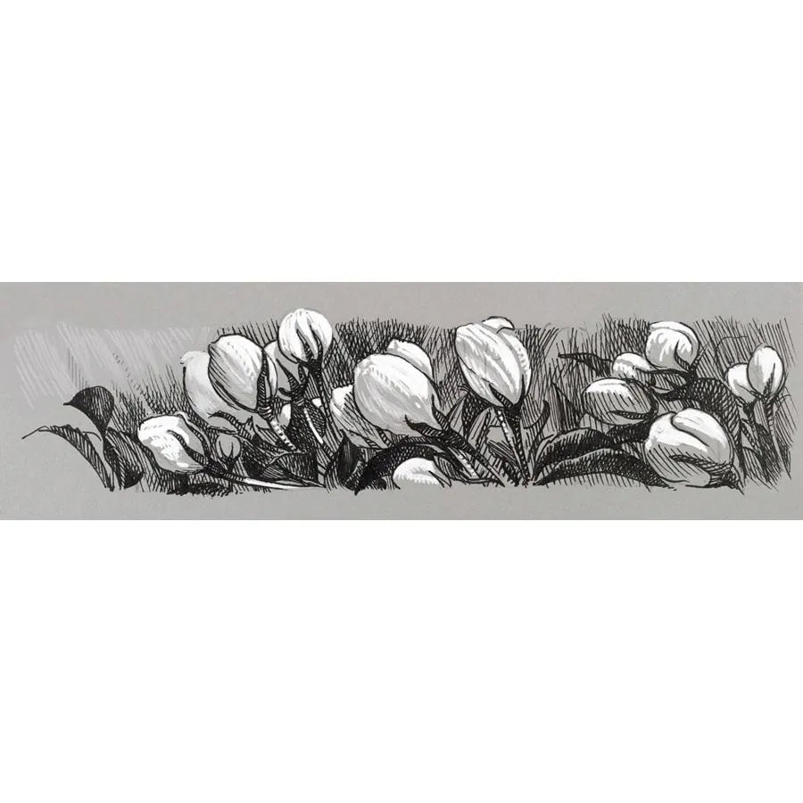 Faber-Castell Pitt Artist Pen India ink pen wallet of 4 black&white 167151