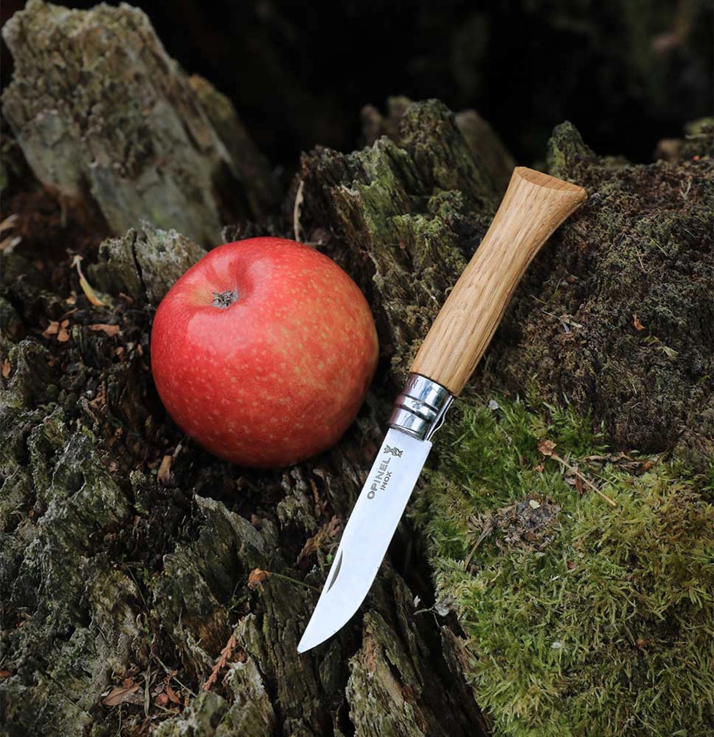 Opinel No.06 Oak Stainless Steel Folding Knife 002024
