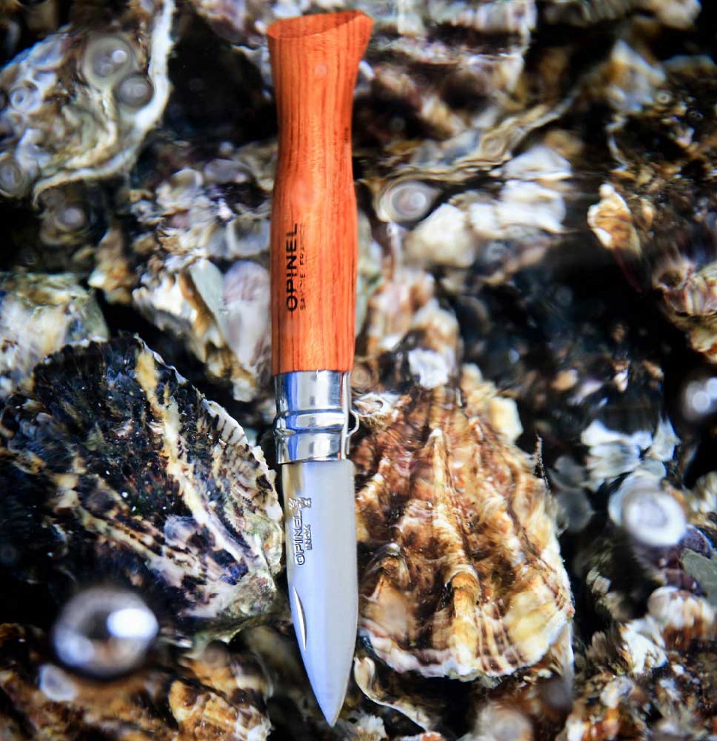 Opinel No.09 Oyster Stainless Steel Folding Knife 001616