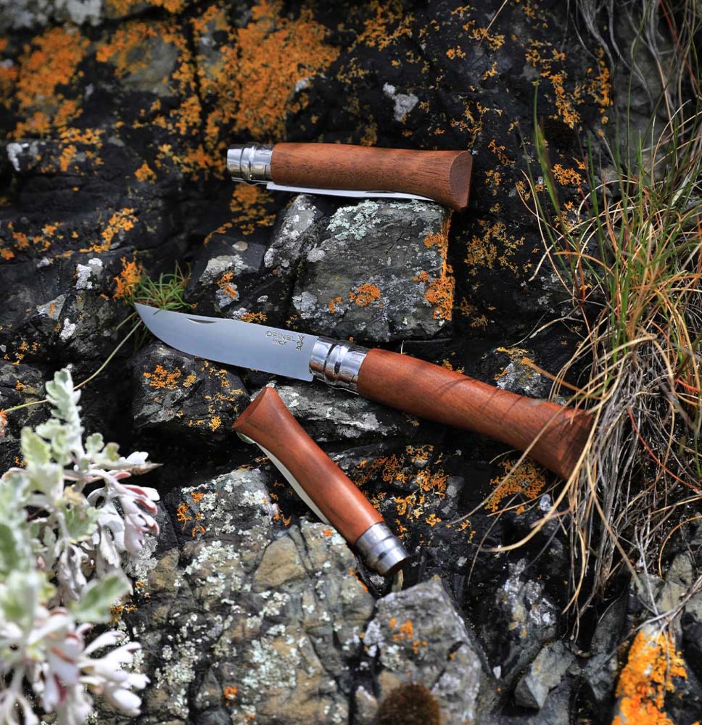 Opinel No.06 Walnut Tree Stainless Steel Folding Knife 002025