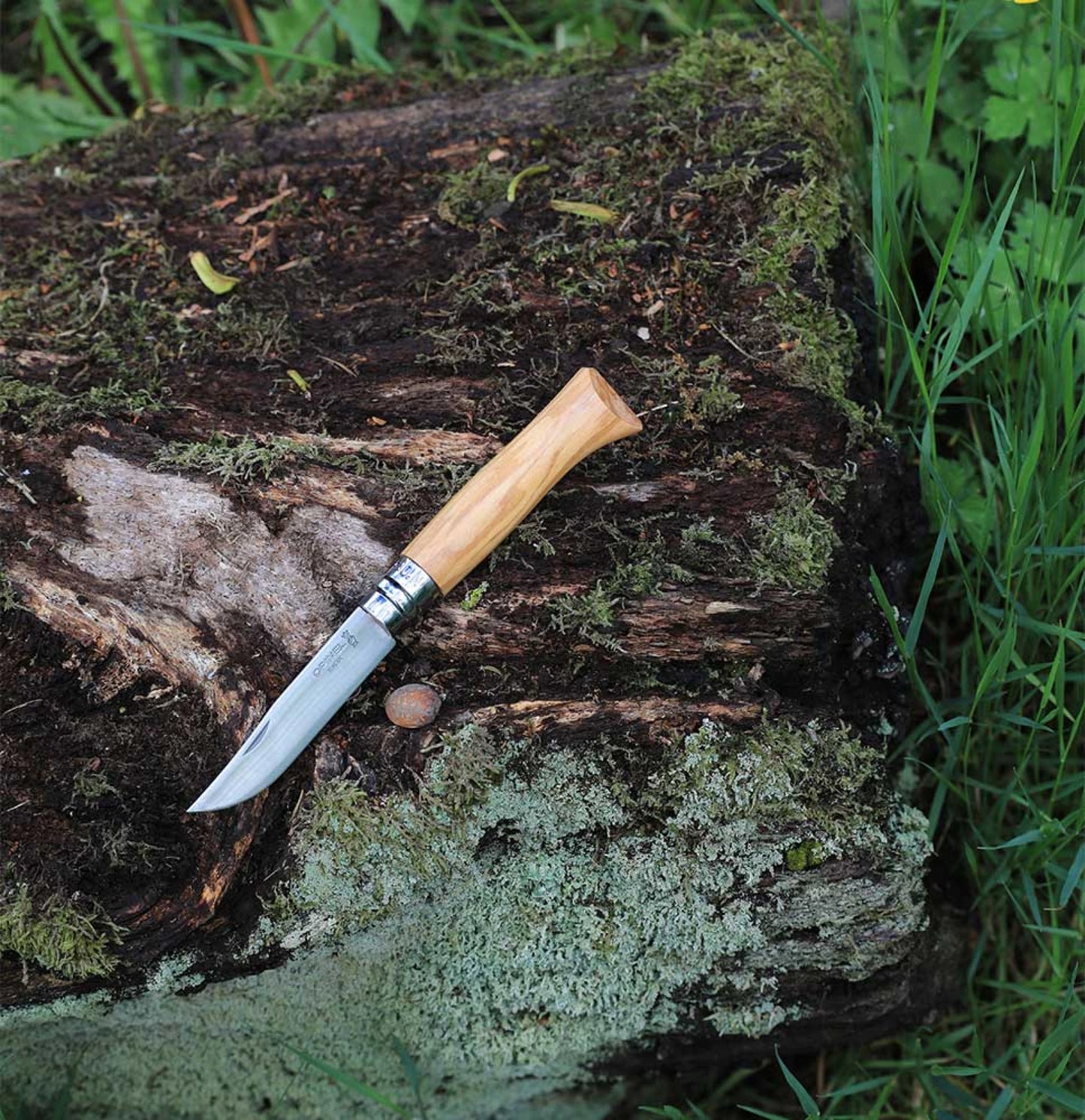 Opinel N°08 Olive Wood Stainless Steel Pocket Knife + Sheath 001004