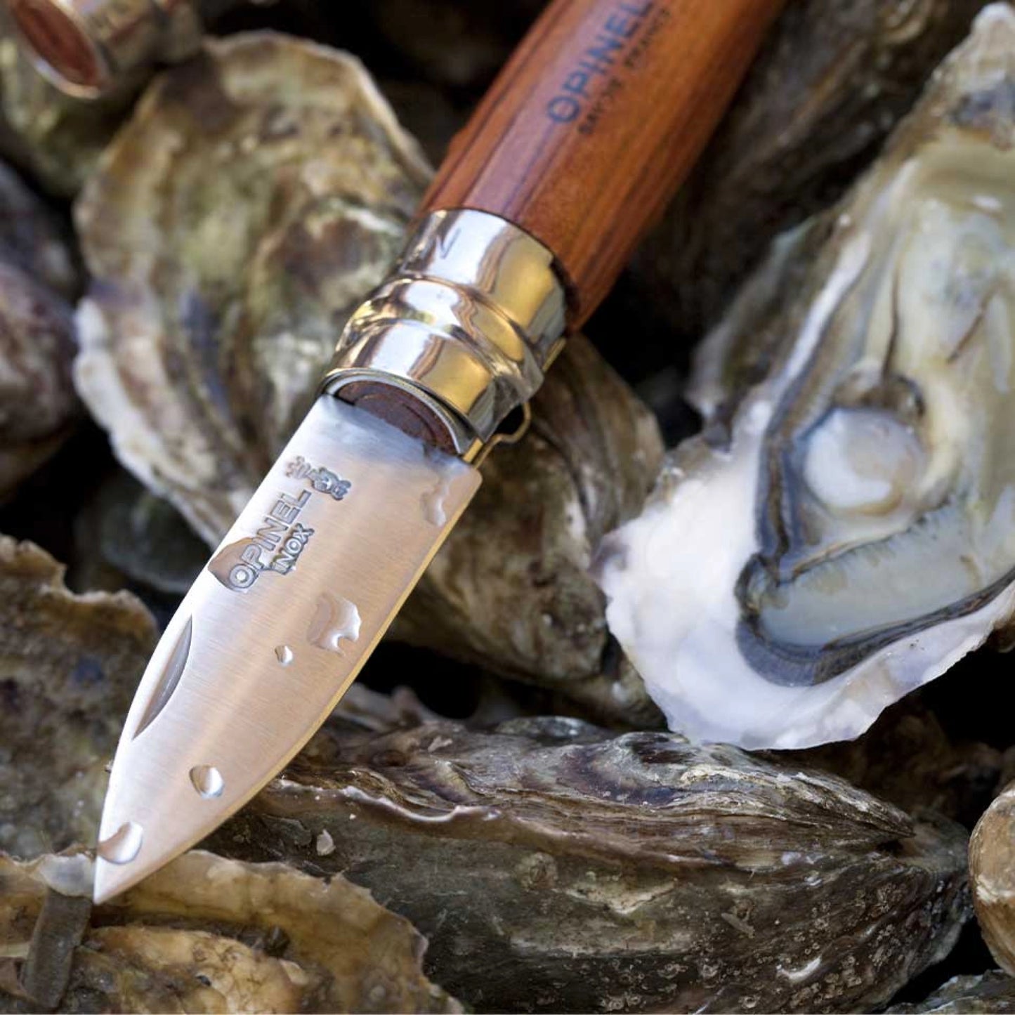 Opinel No.09 Oyster Stainless Steel Folding Knife 001616