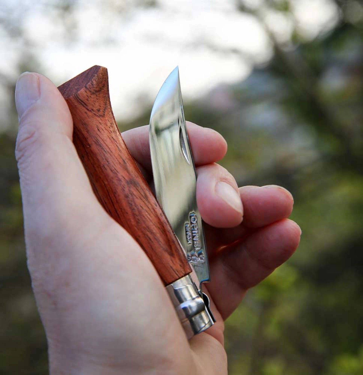 Opinel No.06 Padouk Polished Stainless Steel Folding Knife 226066