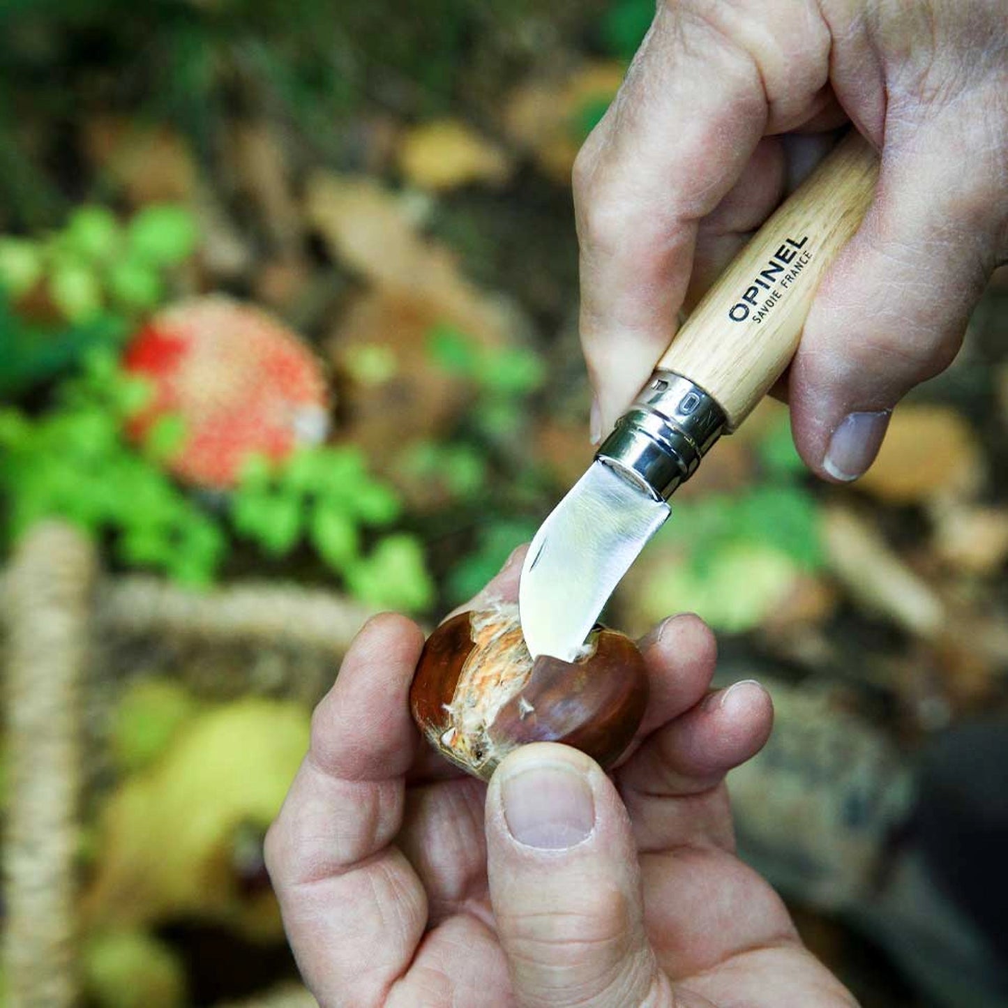 Opinel No.07 Folding Chestnuts, garlic and pitting Stainless Steel Knife 002360