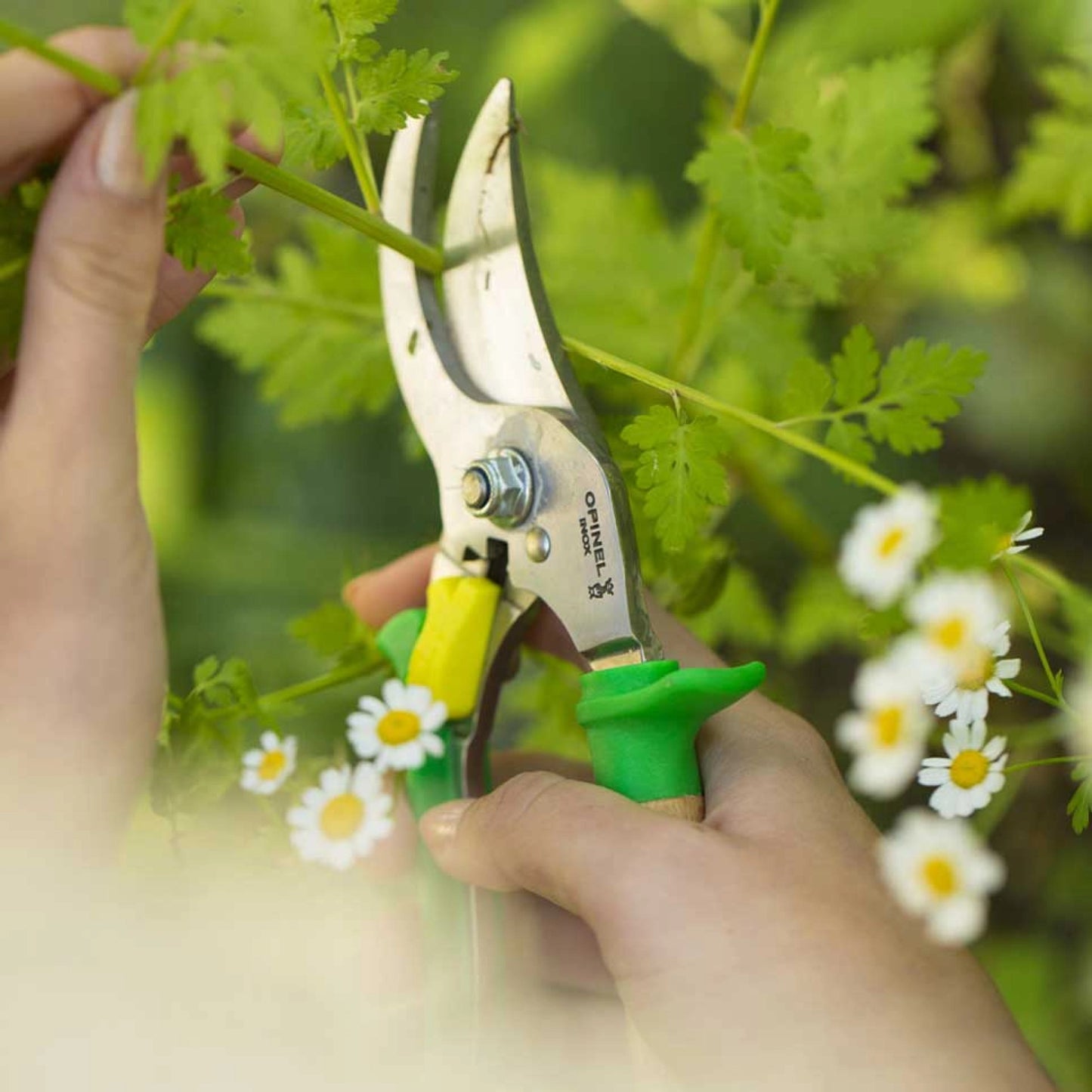 Opinel Hand Pruner Meadow Stainless Steel Blade Green 001628