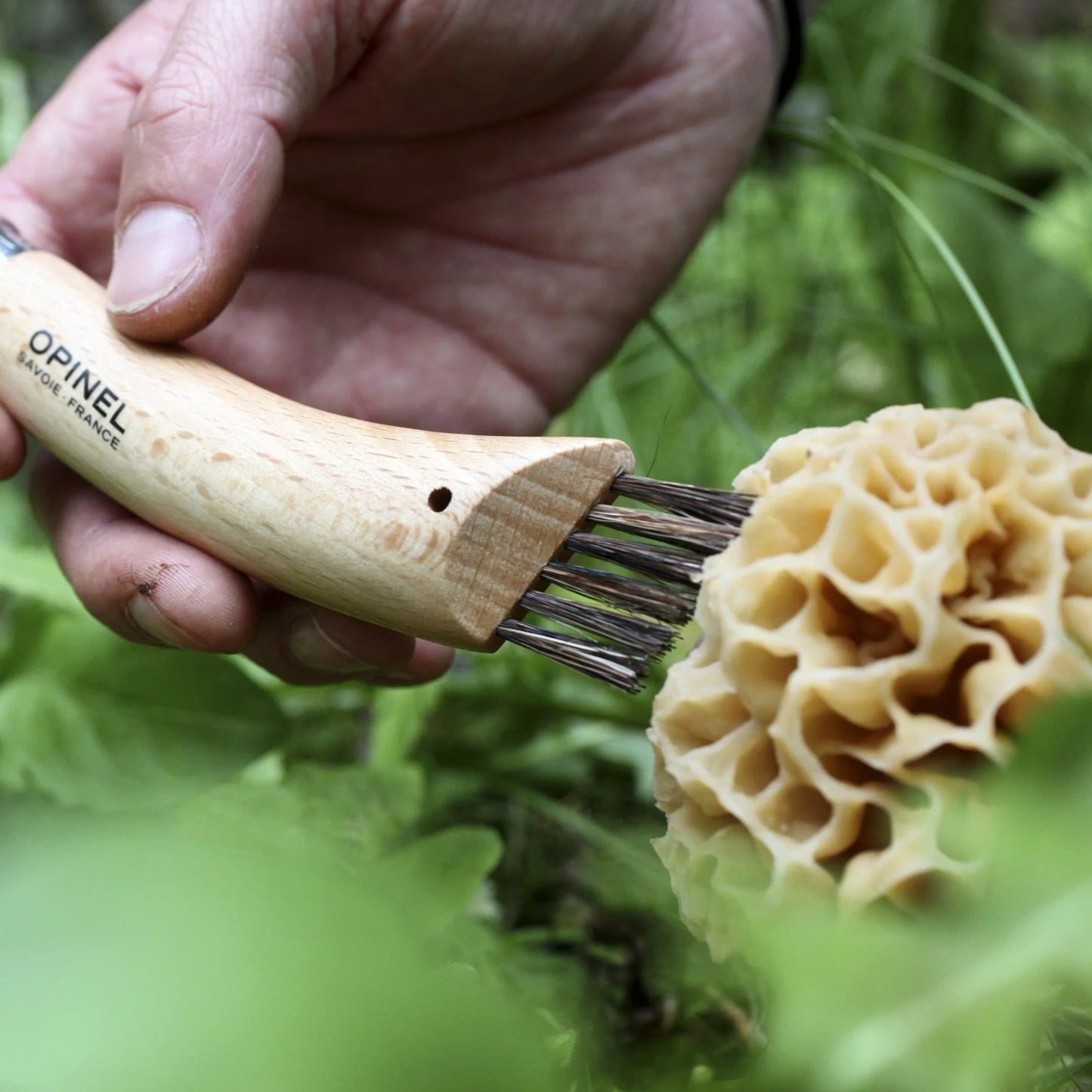 Opinel No.08 Stainless Steel Mushroom Knife 001250
