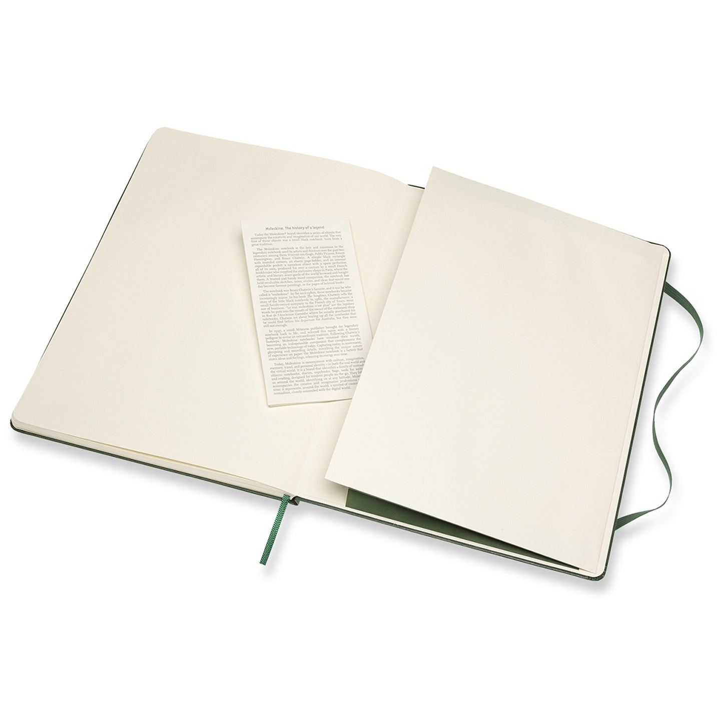 Moleskine Notebook XL Myrtle Green Hard Cover Ruled QP090K15