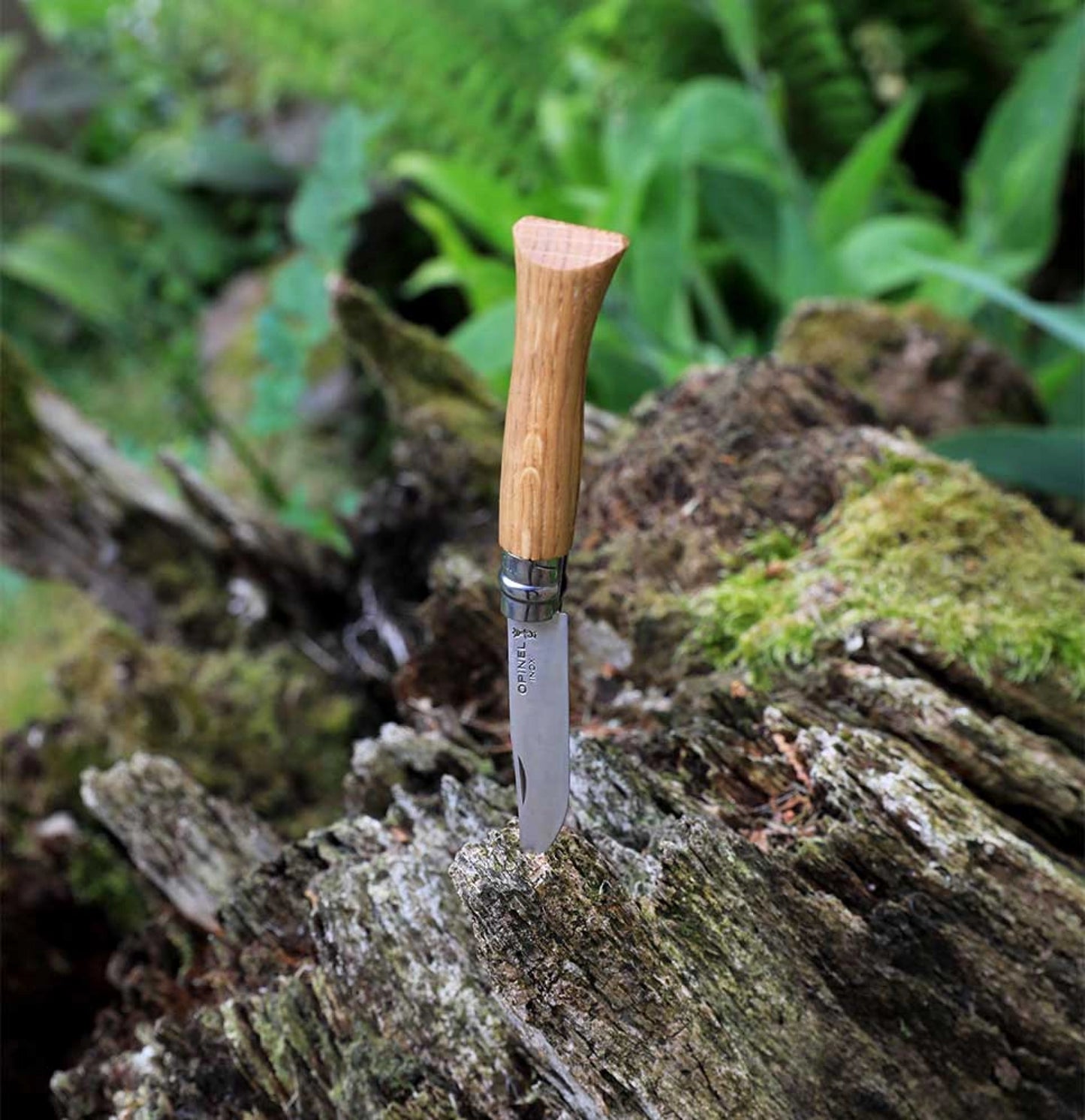 Opinel No.09 Oak Wood Stainless Steel Folding Knife 002424