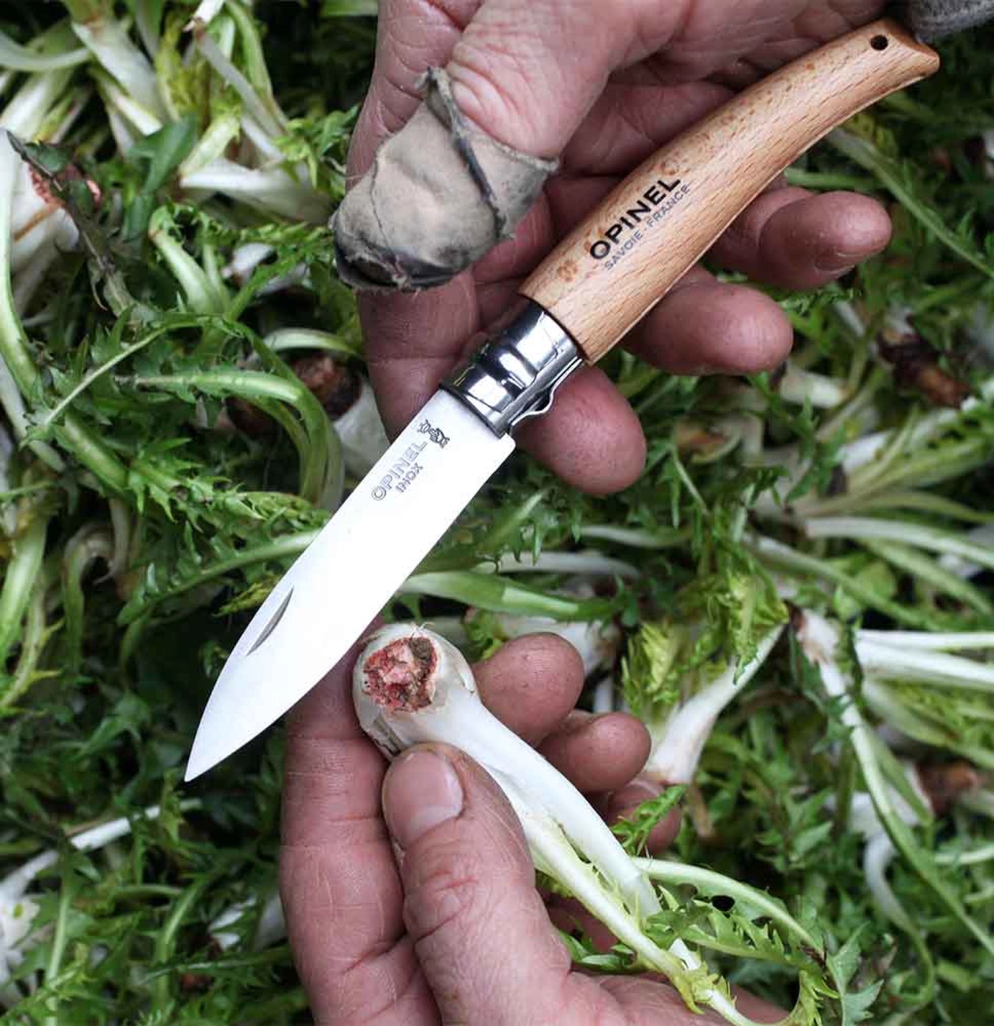 Opinel No.08 Folding Garden Knife 133080