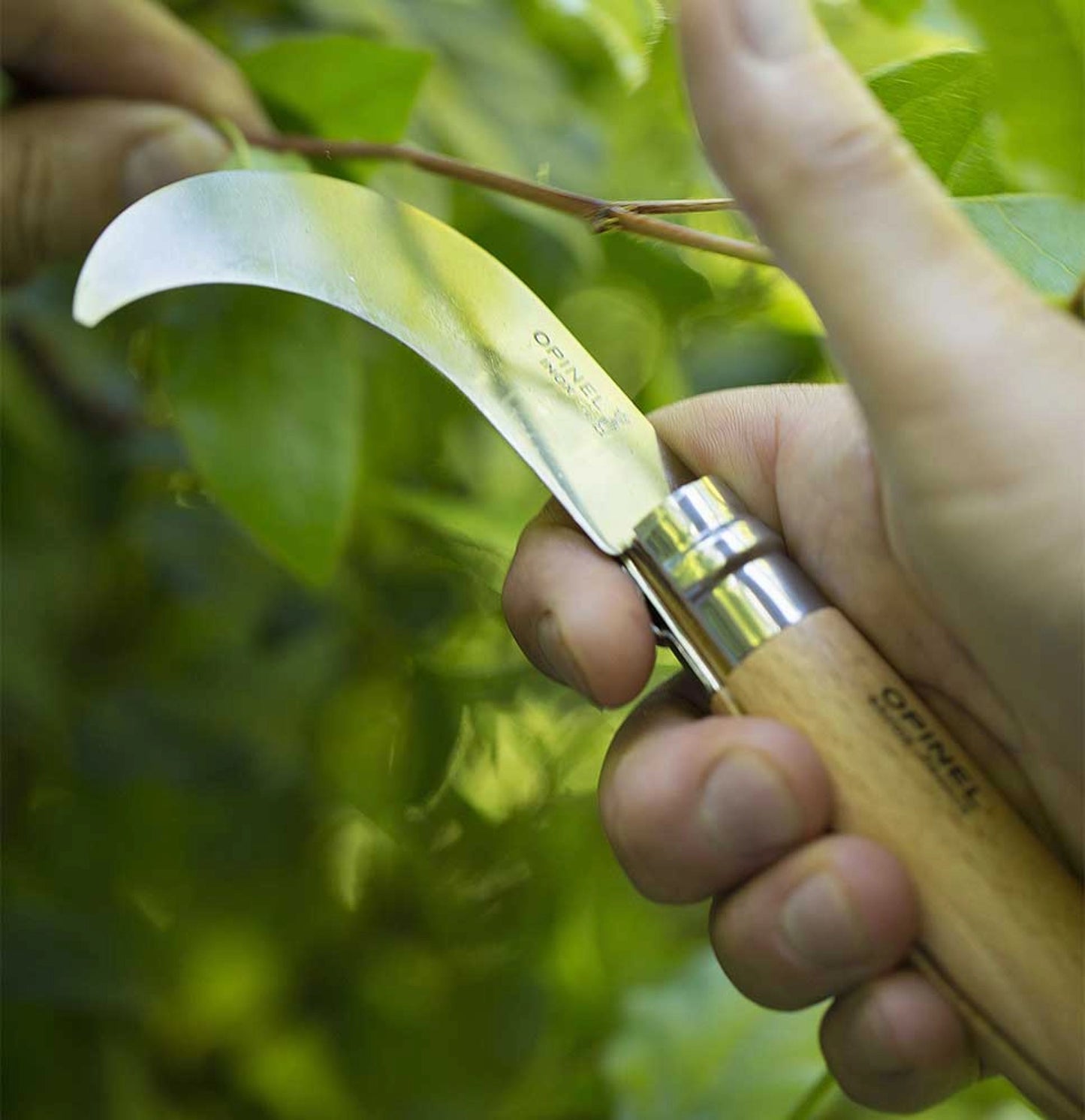 Opinel No.10 Billhook Pruning Folding Knife 113110