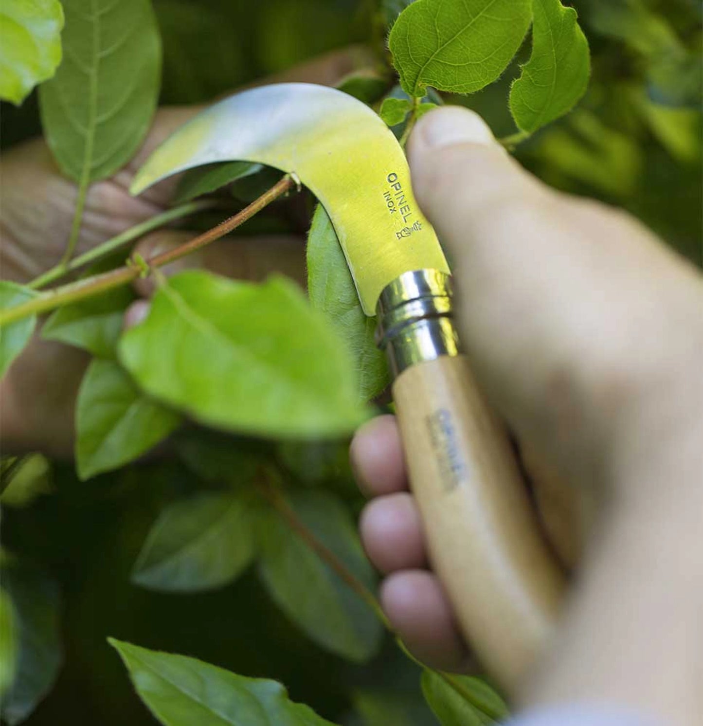 Opinel No.10 Billhook Pruning Folding Knife 113110
