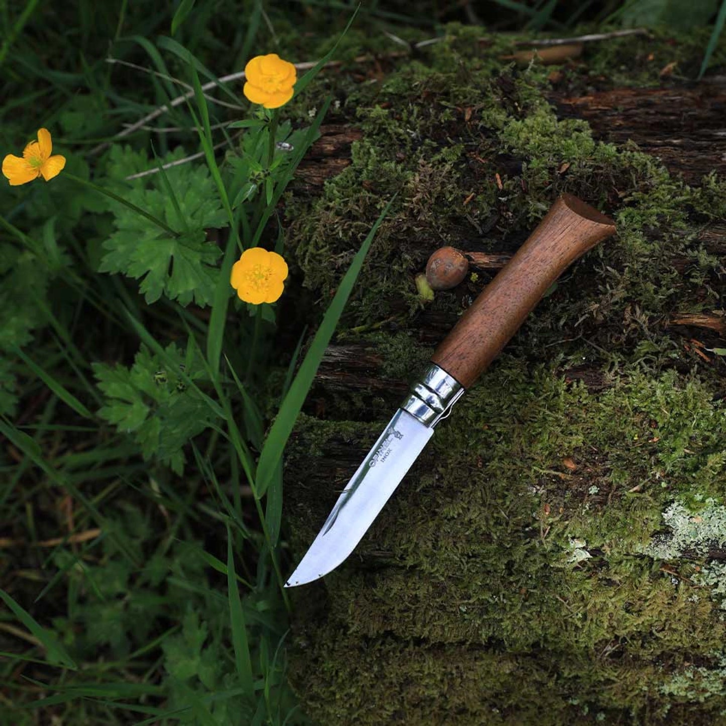 Opinel No.09 Walnut Wood Stainless Steel Folding Knife 002425