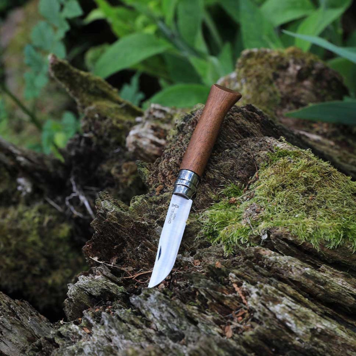 Opinel No.09 Walnut Wood Stainless Steel Folding Knife 002425
