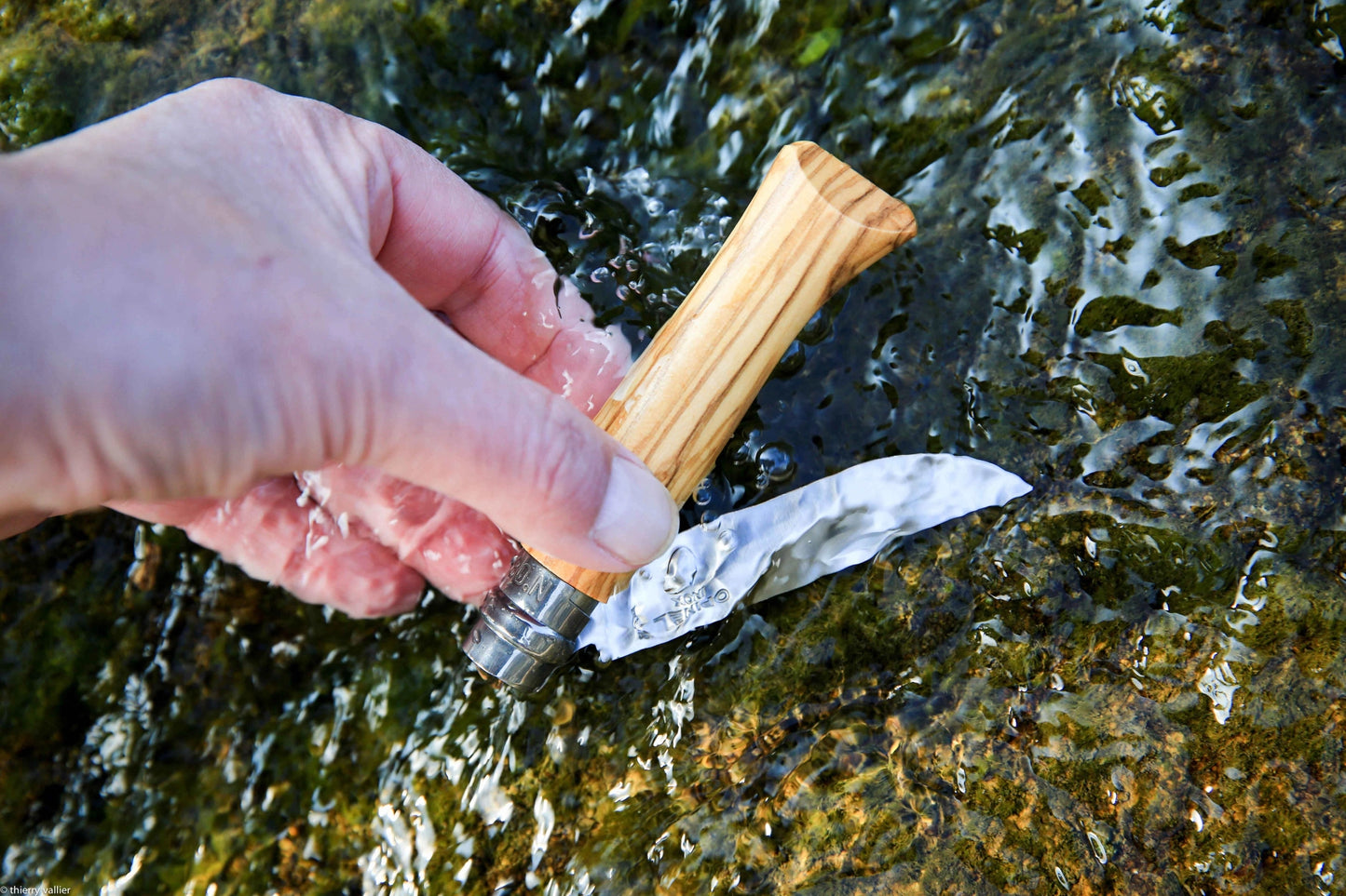 Opinel N°08 Olive Wood Stainless Steel Folding Knife 002020